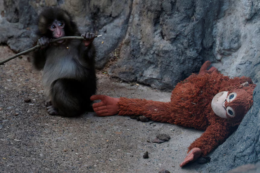 Viral Punch Monkey Plush Doll 66cm/25.98 inch Huggable Macaque Emotional Support Toy