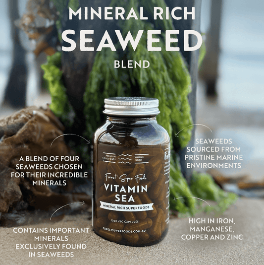 Vitamin Sea mineral-rich seaweed blend bottle with front label and silver screw top