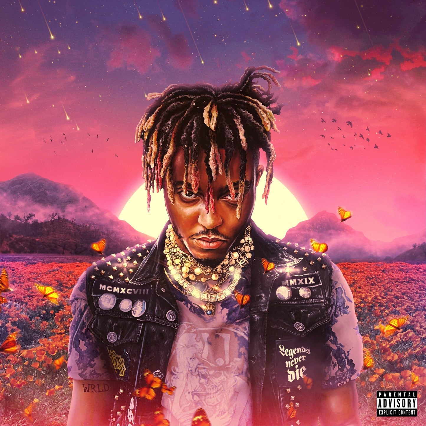 Double vinyl album cover artwork: portrait of man with dreadlocks in denim jacket