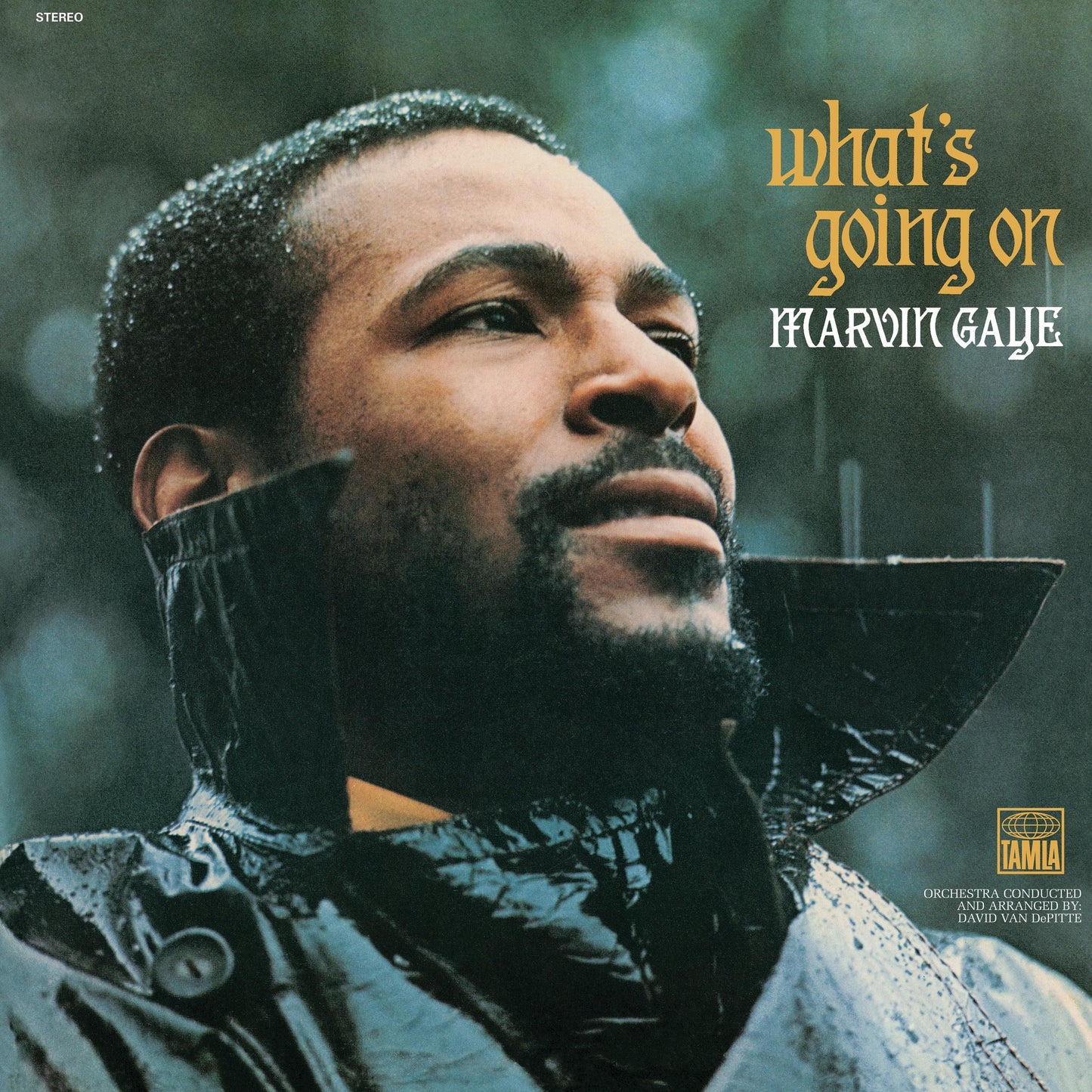 Vinyl album cover with singer portrait and gold title text