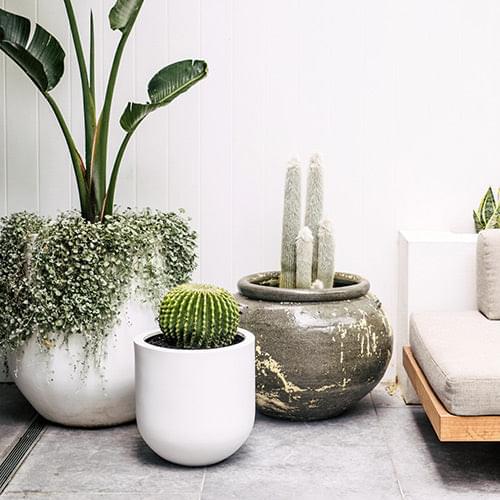Phooket set of planter pots: large speckled cactus pot plus white and dark green planters