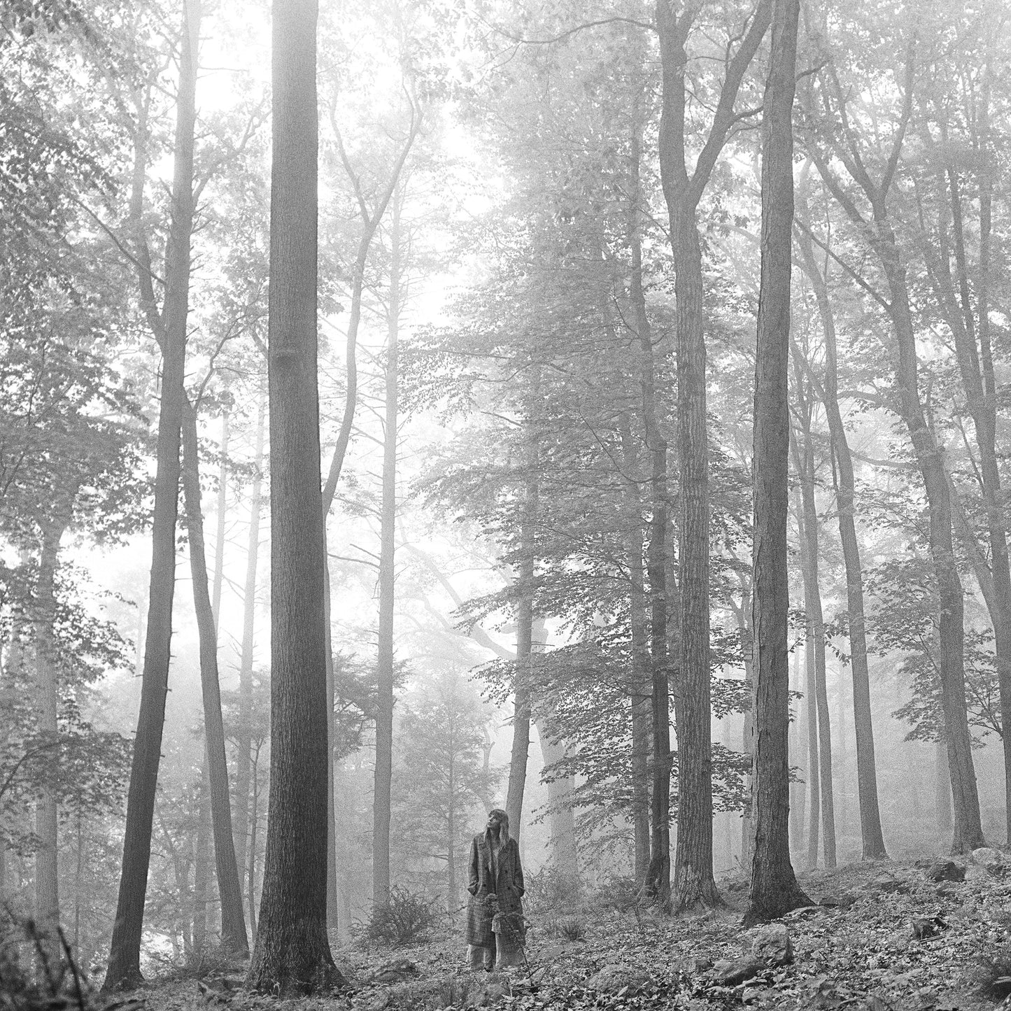 Forest scene with distant figure; no record crate visible