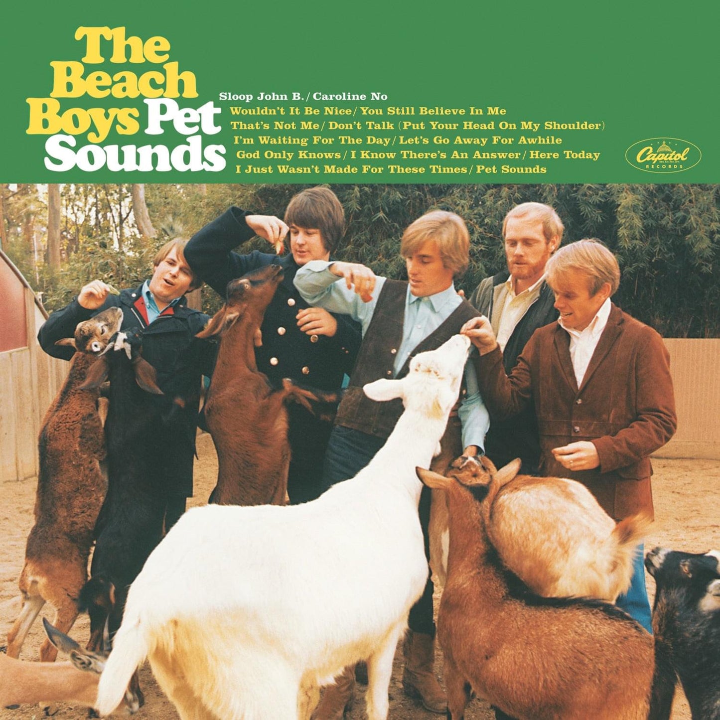 Vinyl album cover for The Beach Boys Pet Sounds