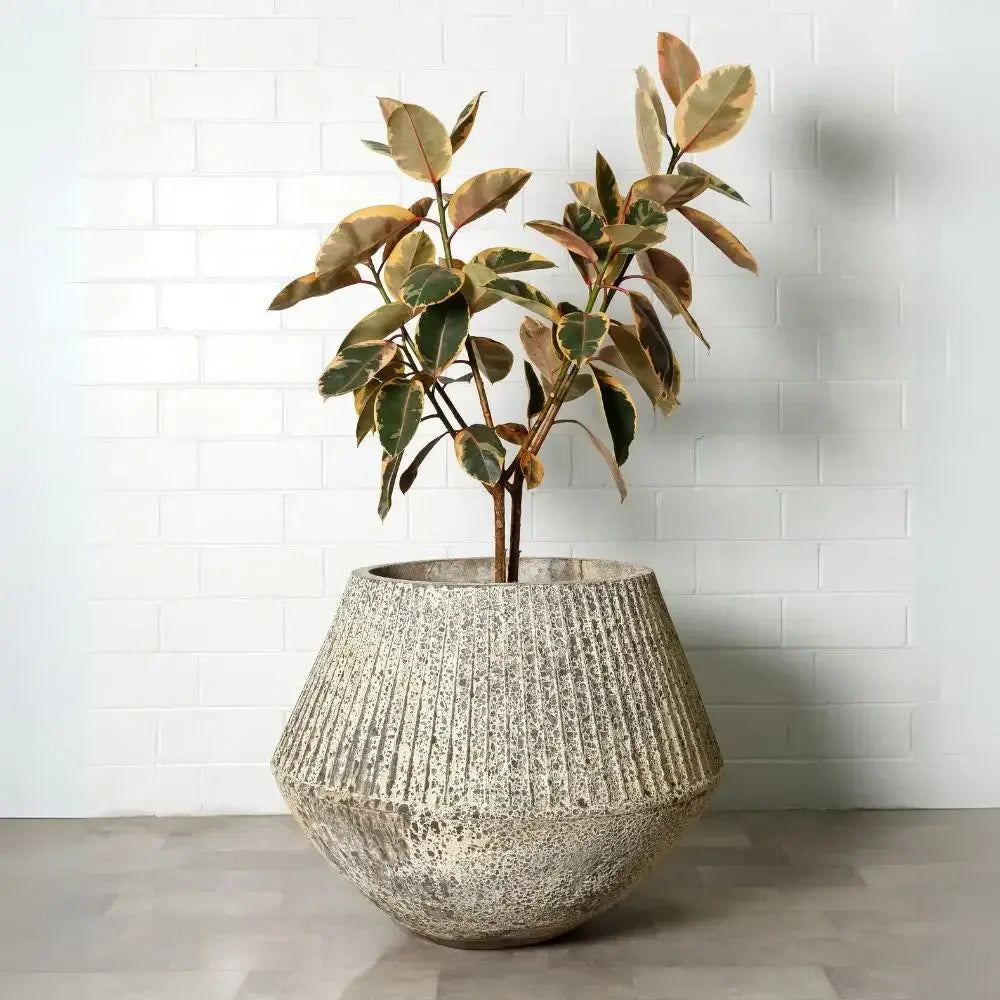 Speckled ceramic planter pot with vertical rim, supporting a leafy plant