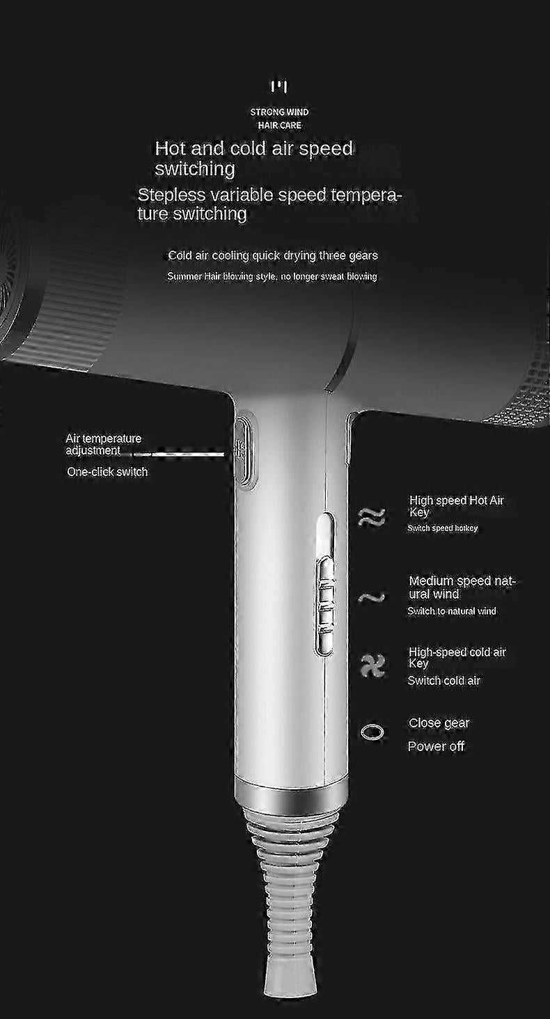 2000W Professional Ionic Hair Dryer with Diffuser Silver Purple