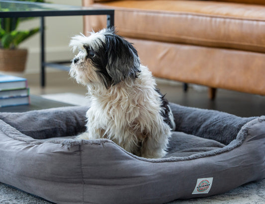 Grey heated pet bed with a standing small dog resting in the plush center