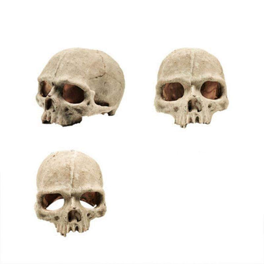 Tan skull aquarium ornament, front and side views