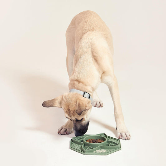 Small dog licking a sage green slow feeder lick mat with center bowl