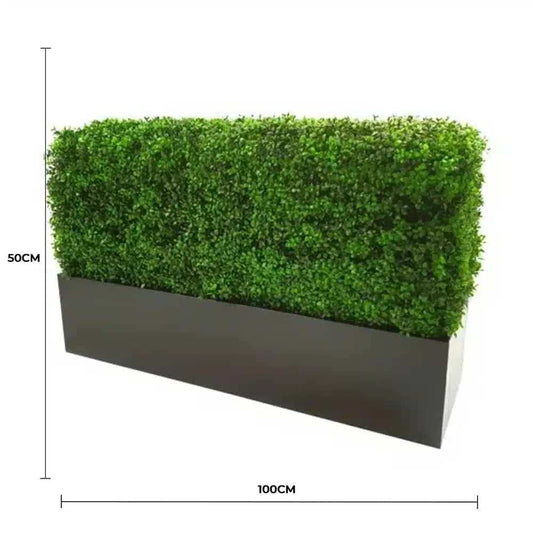 Portable boxwood hedge planter with bright green foliage, shown from the side