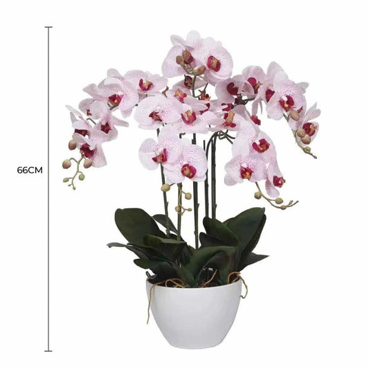66 cm artificial potted orchid with white pink flowers and dark green leaves