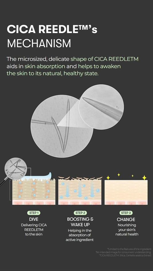 Cica reiddle mechanism infographic with absorption diagram and step-by-step skin chart