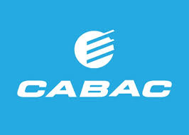 CABAC Releasable Cable Ties – 200mm x 4.8mm, UV-Stabilised Red Nylon, Packet of 100 | CT200RD | Durable, Reusable, Polyamide 6.6