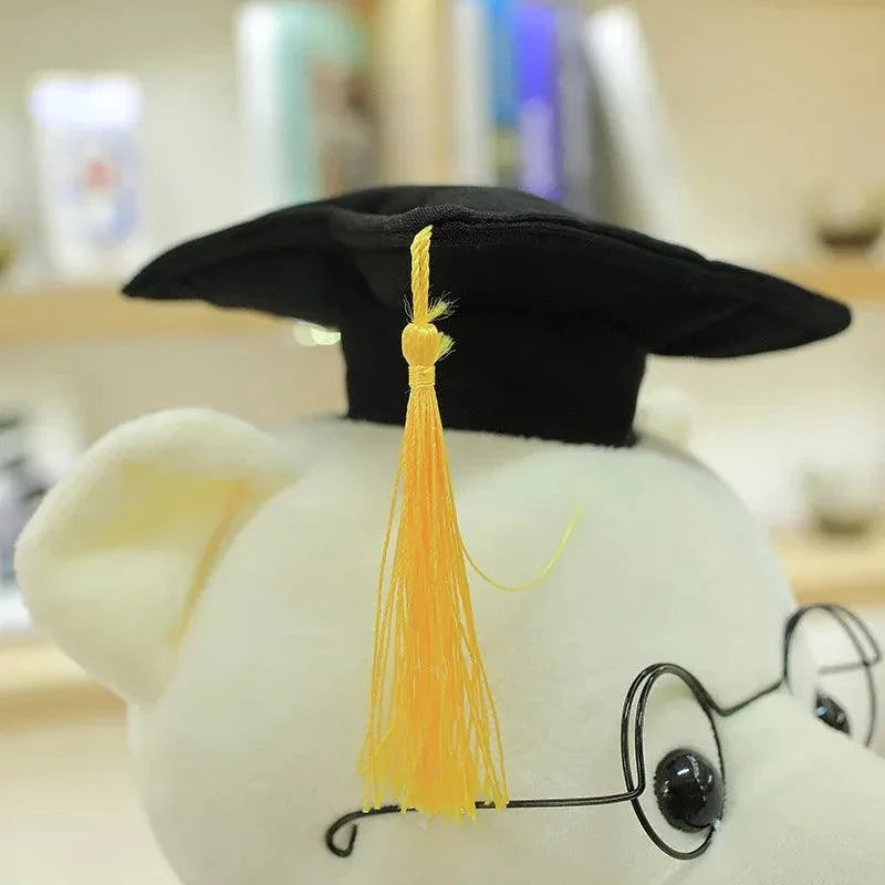 Graduate Dr. Bear Plush Graduation Teddy Bear Keepsake Gift with Cap & Diploma
