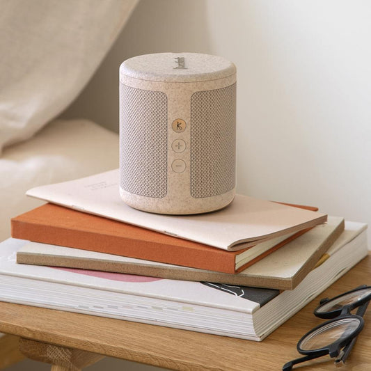Wheat-speckled portable Bluetooth DAB+ radio speaker on stacked books