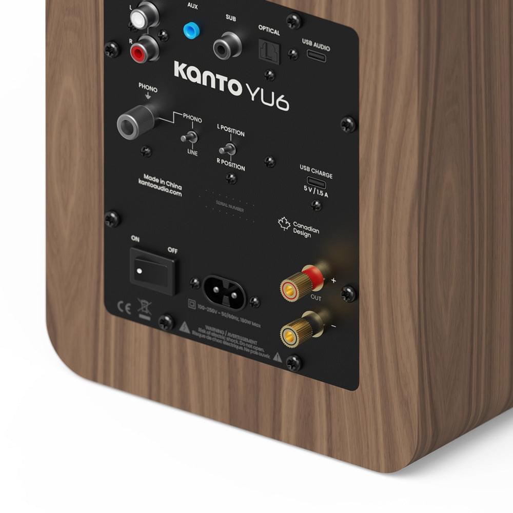 Matte walnut powered bookshelf speaker rear inputs panel with RCA and USB-C ports