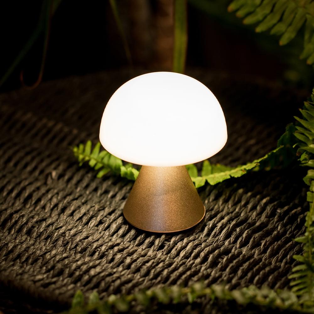 Glowing mini LED lamp with white dome shade, gold base, among green plants
