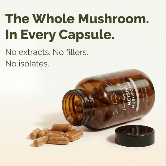 Reishi mushroom supplement bottle with black cap and visible capsules