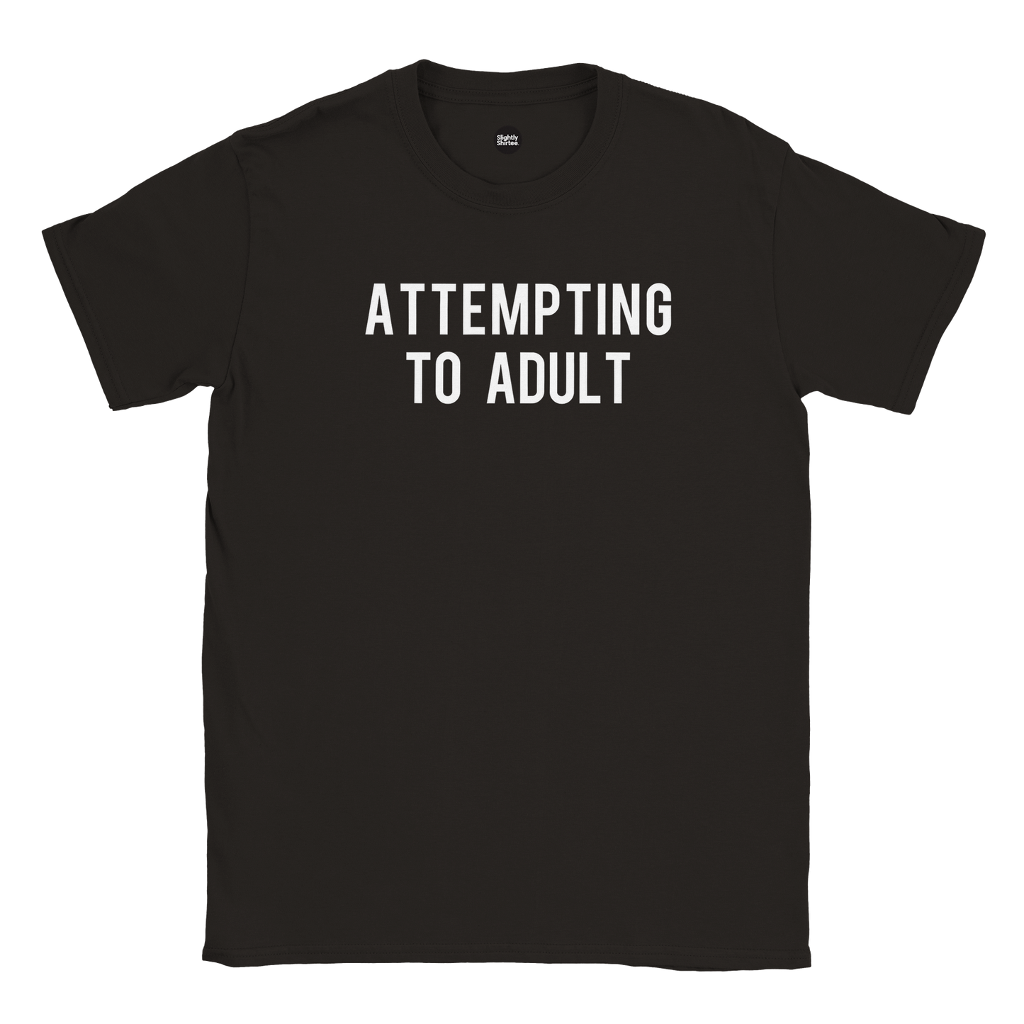 Attempting to Adult tee (black)