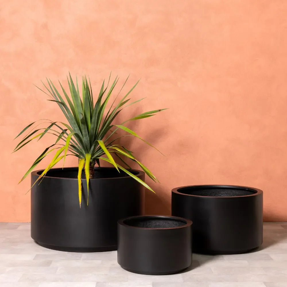 Matte black plant pot set with three cylindrical planters, one small in front