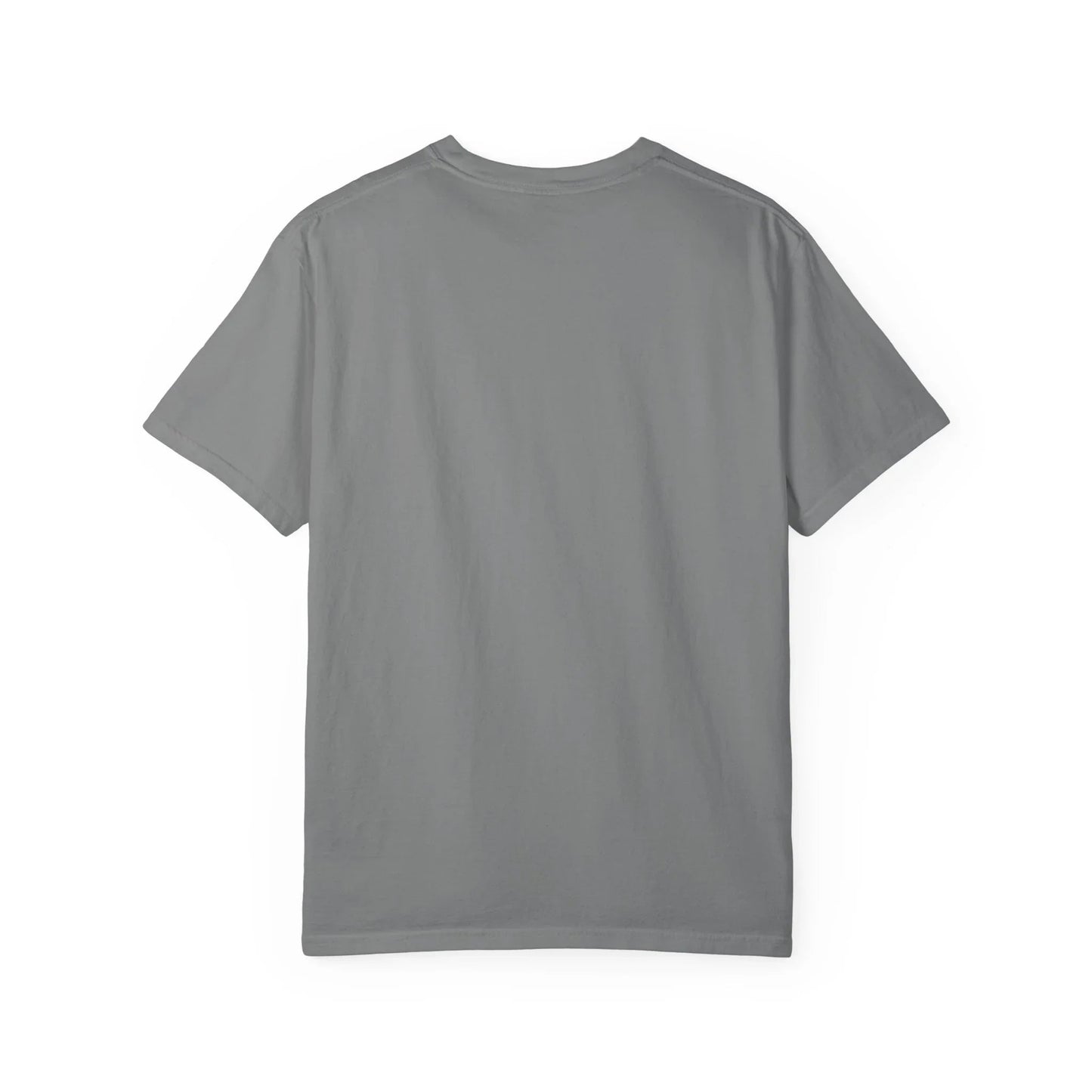Esquie Missing Pet Rock T-Shirt | Clair Obscur Expedition 33 Game Merch | Whee Whoo Whee Whoo