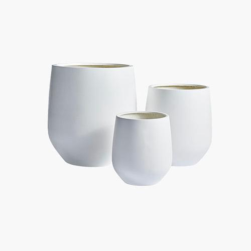 JITT planter set of three white pots with small green plants on a white background