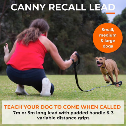 Dog recall lead with black handle and lead line attached to a running dog