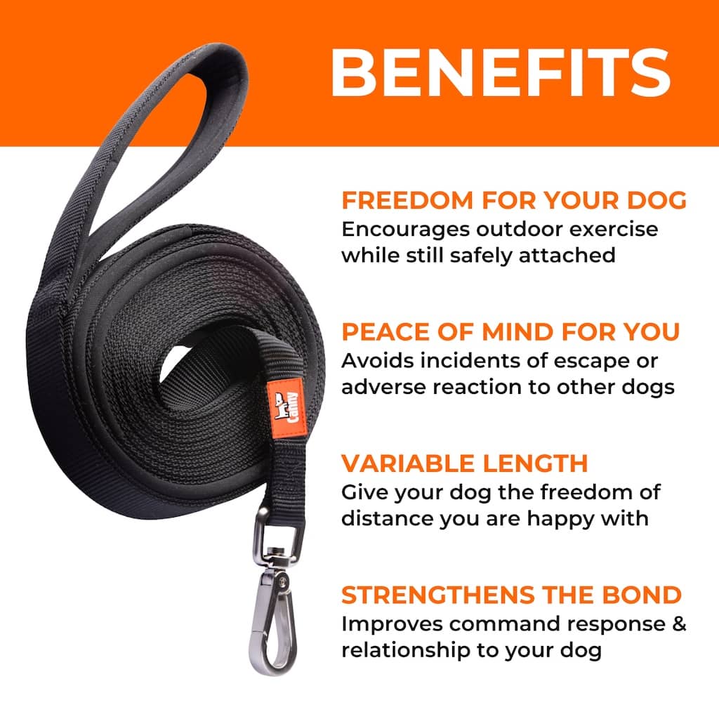 Black coiled dog recall lead with metal locking clip and padded loop handle