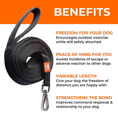 Black coiled dog recall lead with metal locking clip and padded loop handle