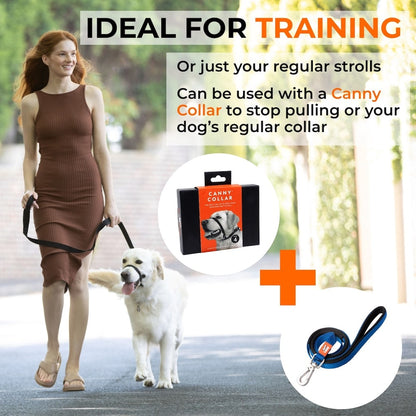 Dog training lead with metal swivel clip, dark strap and collar-stop design