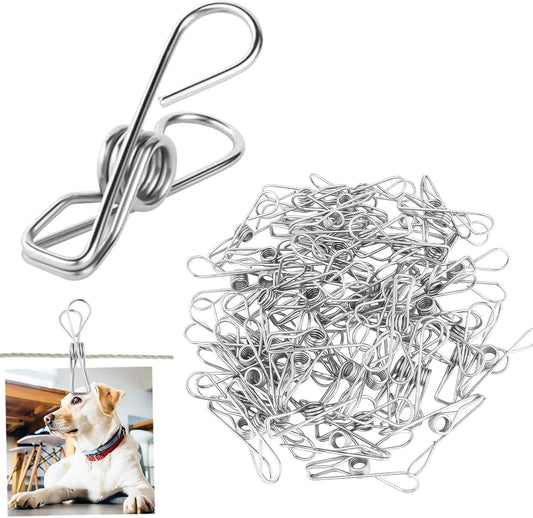 Stainless steel clothespins with spring clamp, shown in a small pile