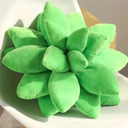 25cm/9.84 inch  Succulent Plant Plush Pillow 3D Soft Cactus Plush Throw for Aesthetic Home Decor