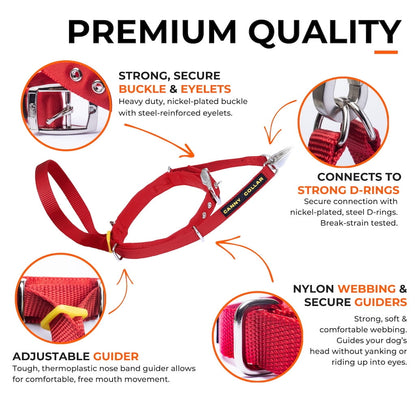 Red dog training nose loop collar with metal buckle, eyelets, and D-ring connection