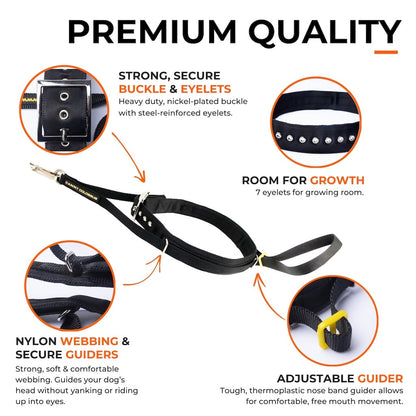 Black nylon training collar with steel buckle, secure eyelets, adjustable strap