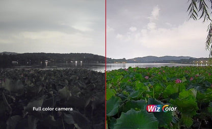 Dahua IPC‑HDW2549EMP‑S‑PRO‑ANZ 5MP WizColor Fixed‑focal Eyeball WizSense Network Camera – Full Colour Night Vision, PoE/IP67