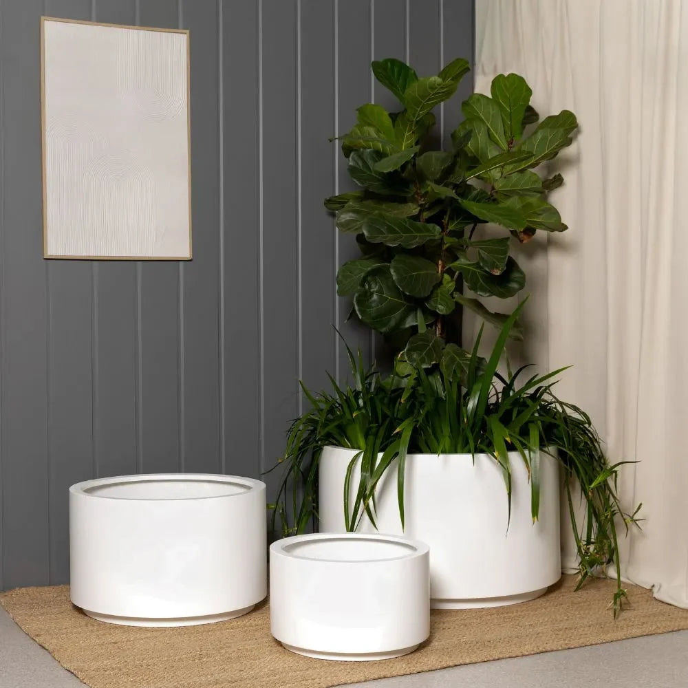 White round plant pot set with large planter, small pots, and fresh greenery