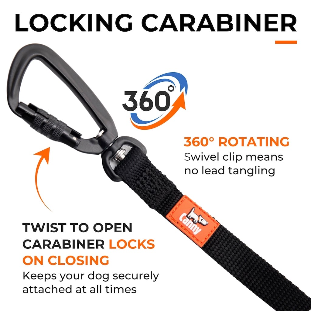 Locking carabiner dog recall lead with 360 rotating swivel clip for no lead tangling