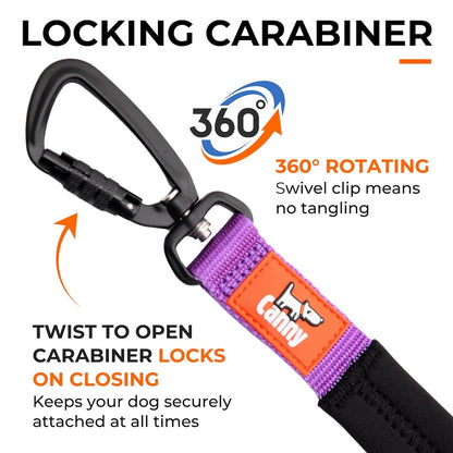 Dog lead with locking carabiner, twist-to-open swivel clip, purple and black strap