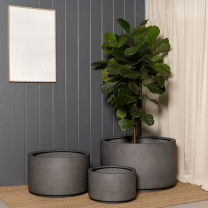 Outdoor plant pot set with three charcoal round planters and leafy plant