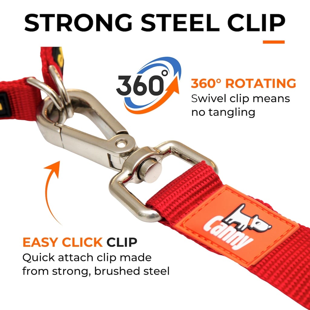 Dog lead with strong brushed steel snap clip, 360 swivel, red and orange strap