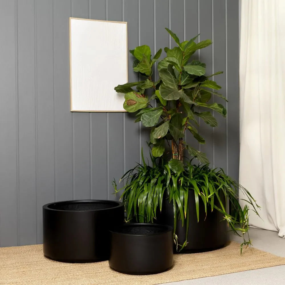 Outdoor plant pot set with three dark round planters and leafy stems