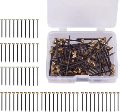 60Pcs Picture Hanging Nails 30 Lbs Brass Head Nails for Hanging, Picture Hanger Pins, Heavy Duty Nail Hook with Storage Box for Photo Frame, Wood Wall Hanging
