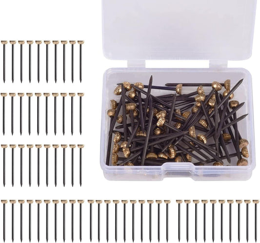 Picture hanging nails set in clear storage box, brass heads on black steel hooks