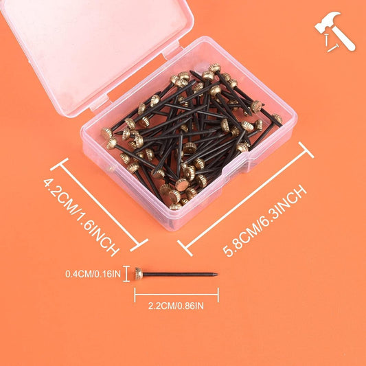 Picture hanging nails set in open clear box, brass heads on black hook pins
