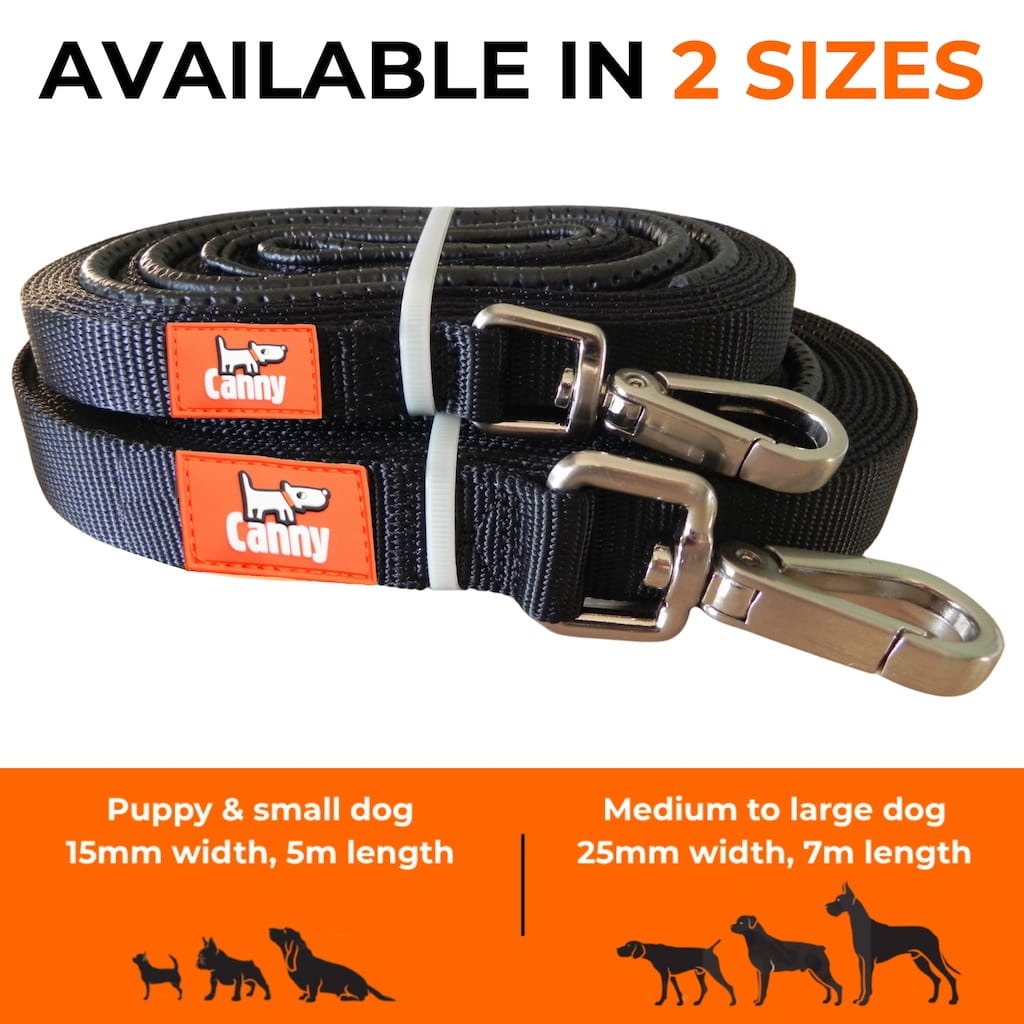 Dog recall lead in two widths with metal clips and orange brand tags on straps