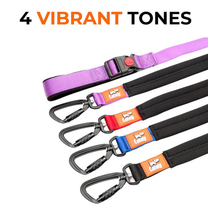 Canny CONNECT Lead