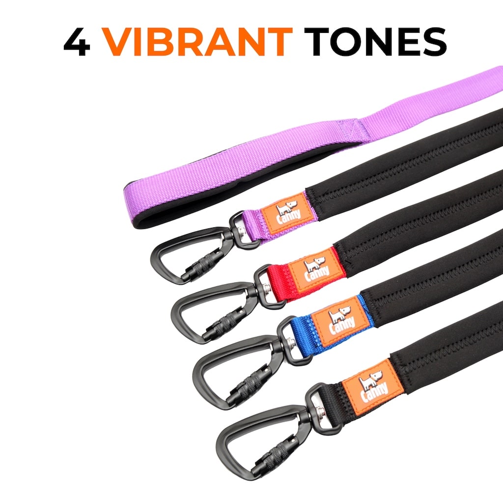 Dog lead set in four vibrant tones: purple, black, blue, and orange straps