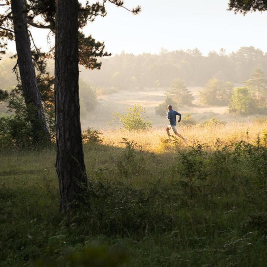 Runner in grassy field, wearing running performance insoles