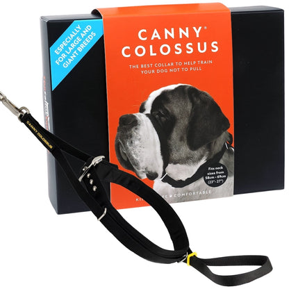 Black training dog collar with nose loop and adjustable strap, steel buckle