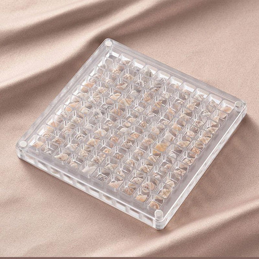 Clear acrylic seashell display box with raised grid cells and hinged transparent cover