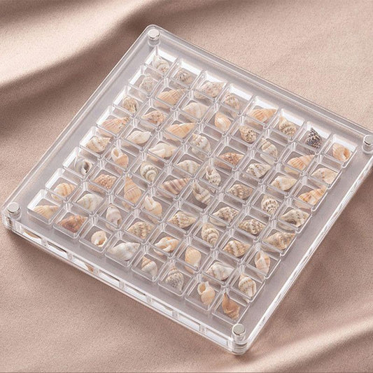 Clear acrylic magnetic display box with grid cells and seashell ornaments inside